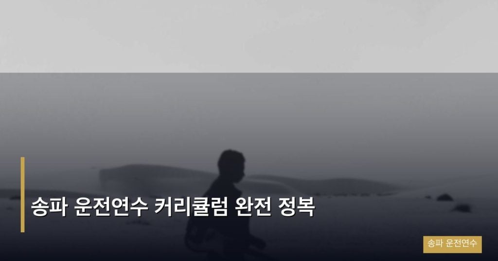 송파 운전연수 커리큘럼 완전 정복