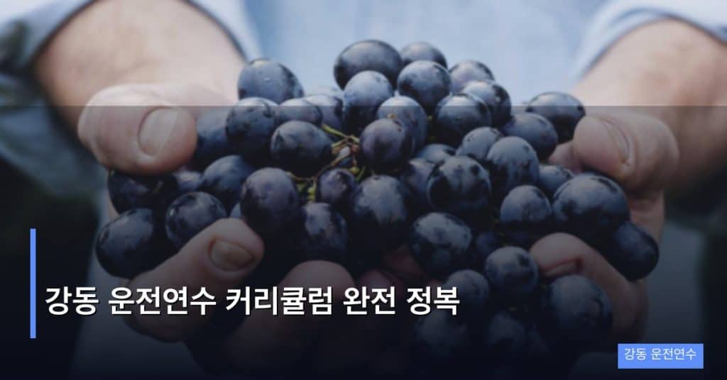 강동 운전연수 커리큘럼 완전 정복